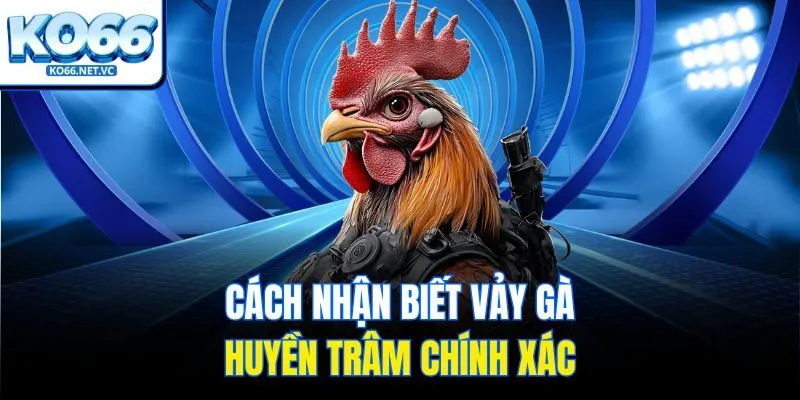Cách nhận biết vảy gà huyền trâm chính xác