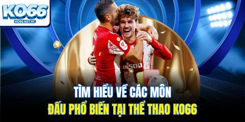 Tìm hiểu về các môn đấu phổ biến tại thể thao KO66