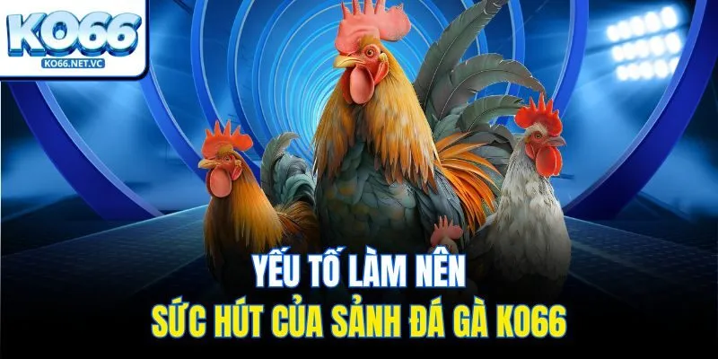 Yếu tố làm nên sức hút của sảnh đá gà Ko66